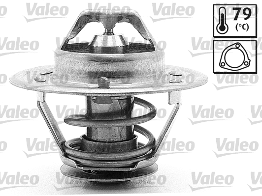 Thermostat, coolant (819903)