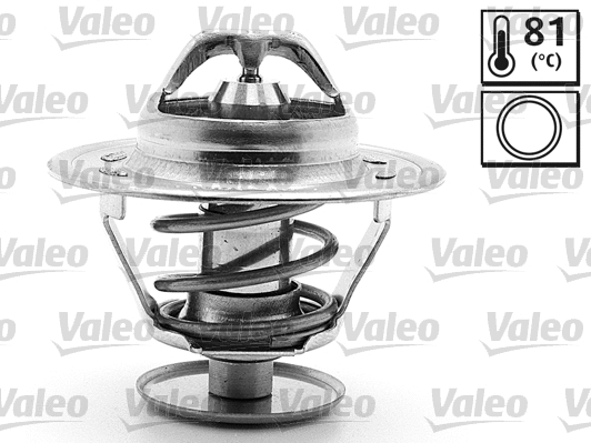 Thermostat, coolant (819884)