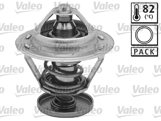 Thermostat, coolant (819945)