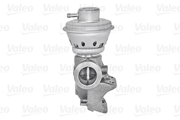 EGR Valve (700406)