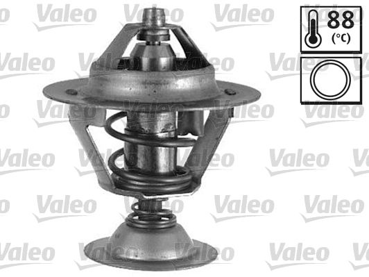 Thermostat, coolant (820487)