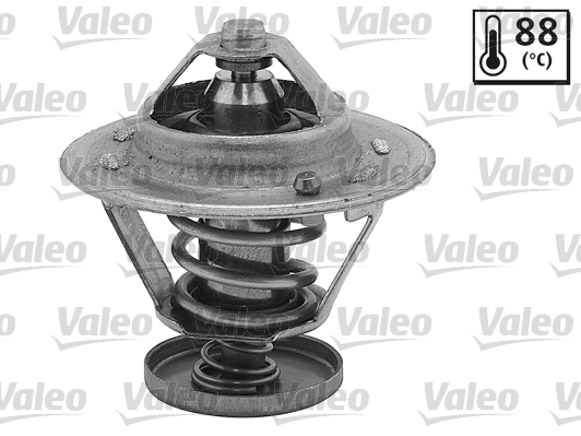 Thermostat, coolant (820549)