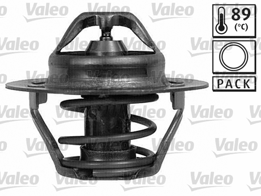 Thermostat, coolant (820008)