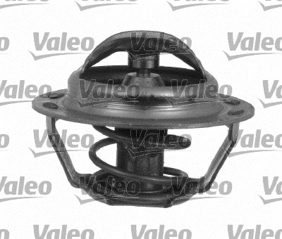 Thermostat, coolant (820020)