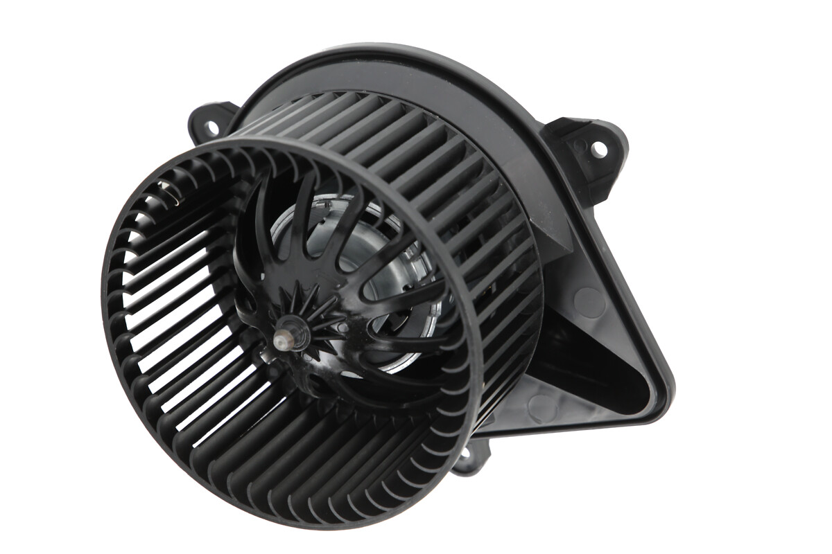 Interior Blower (884649)