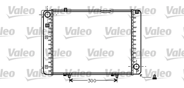 Radiator, engine cooling (732092)