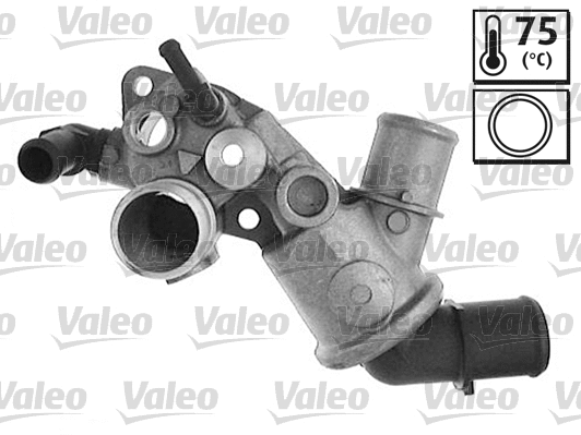 Thermostat, coolant (820158)