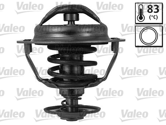 Thermostat, coolant (820047)