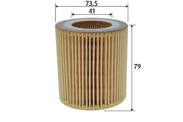 Oil Filter (586622)