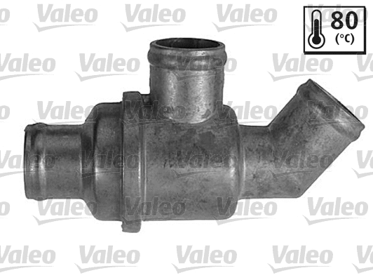 Thermostat, coolant (819904)