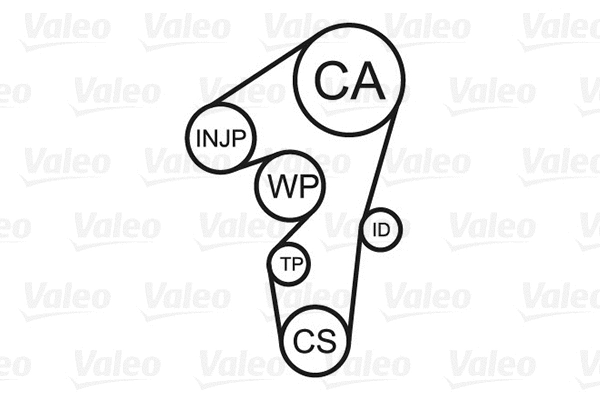 Water Pump & Timing Belt Kit