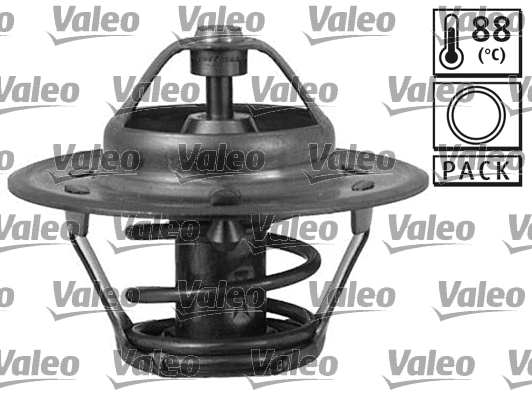 Thermostat, coolant (819846)