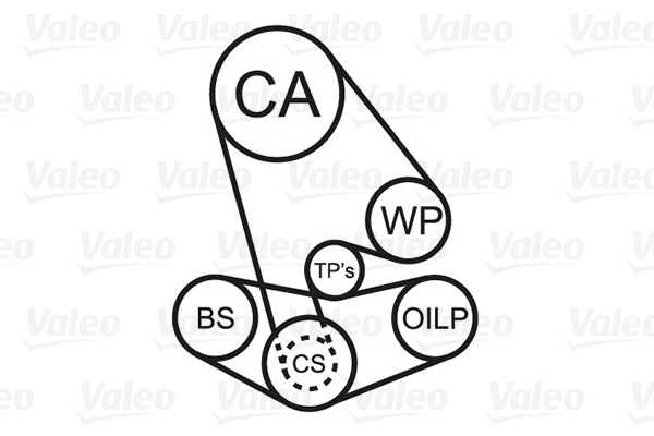 Water Pump & Timing Belt Kit