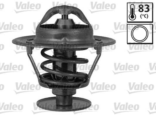 Thermostat, coolant (820771)