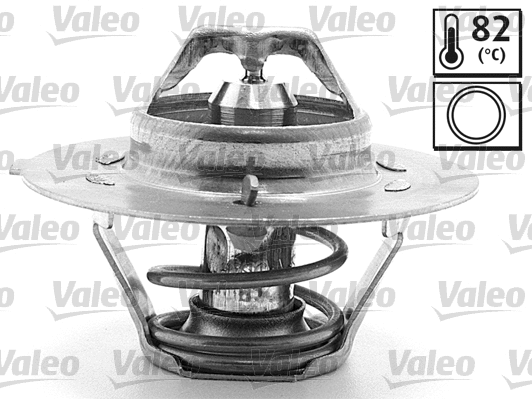 Thermostat, coolant (819900)