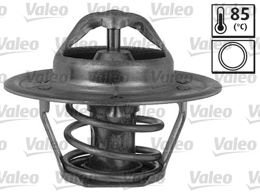 Thermostat, coolant (820975)