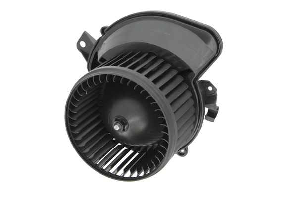 Interior Blower (884547)