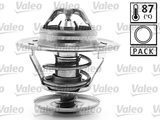 Thermostat, coolant (819868)