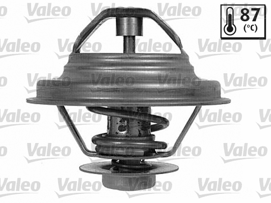 Thermostat, coolant (820788)