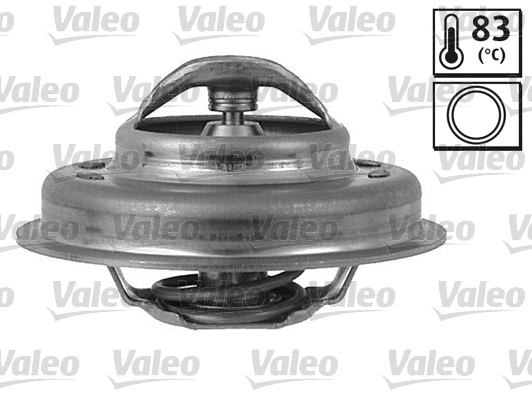 Thermostat, coolant (819951)