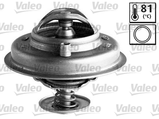 Thermostat, coolant (820548)