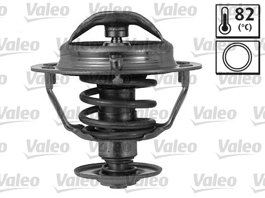 Thermostat, coolant (820173)