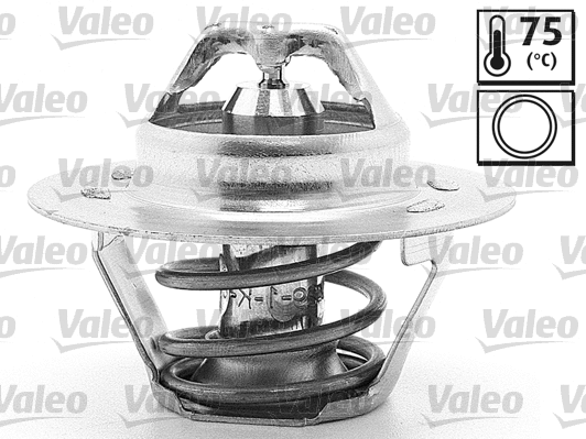 Thermostat, coolant (819859)