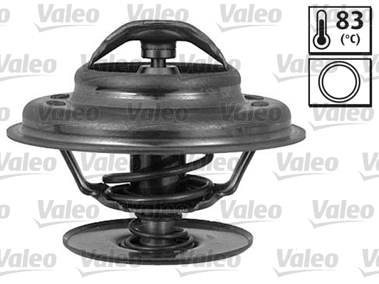 Thermostat, coolant (820768)