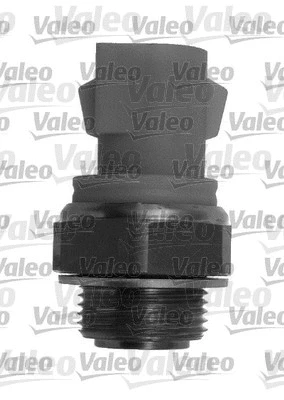 Temperature Switch, radiator fan (819784)