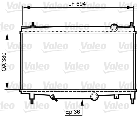 Radiator, engine cooling (734336)