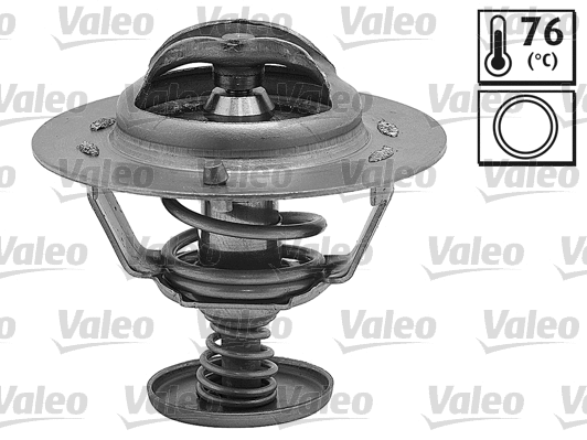Thermostat, coolant (820514)
