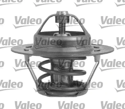 Thermostat, coolant (819947)