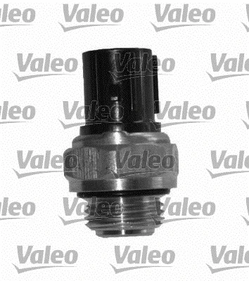 Temperature Switch, radiator fan (820334)