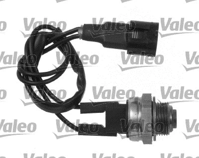Temperature Switch, radiator fan (819783)
