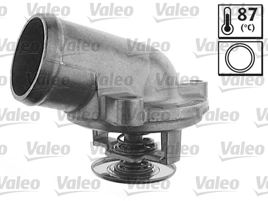 Thermostat, coolant (820147)