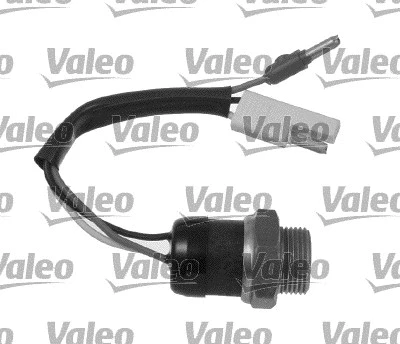 Temperature Switch, radiator fan (819828)