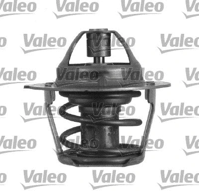 Thermostat, coolant (819844)