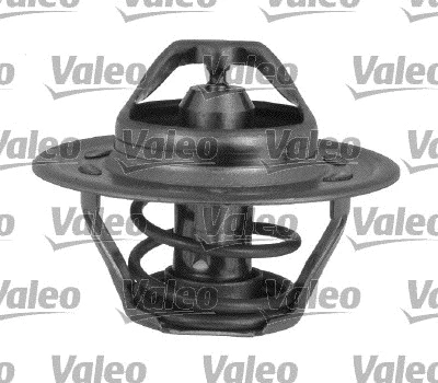 Thermostat, coolant (820144)