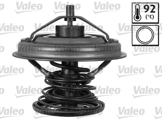 Thermostat, coolant (820142)