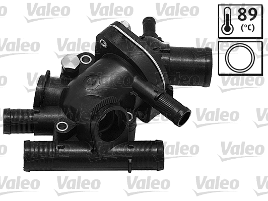 Thermostat, coolant (820179)