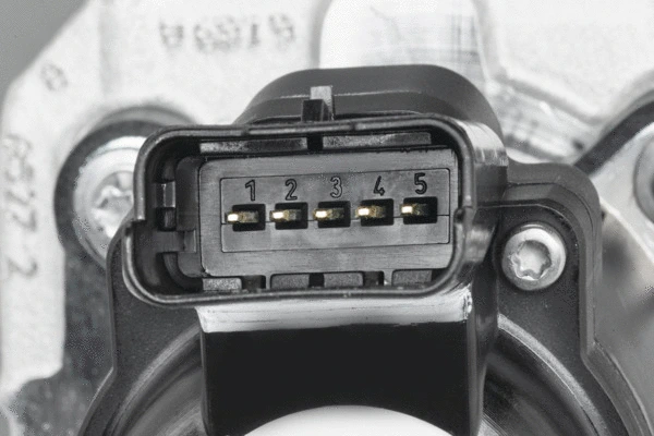 EGR Valve