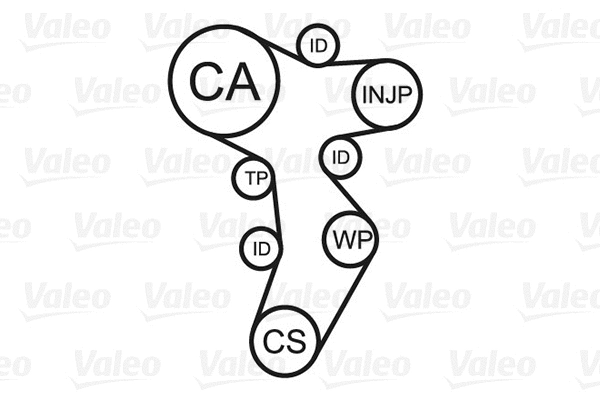 Water Pump & Timing Belt Kit