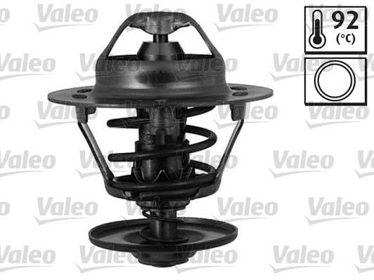 Thermostat, coolant (820547)