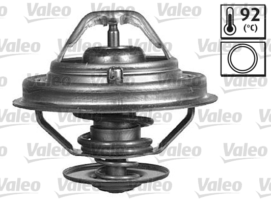 Thermostat, coolant (820414)