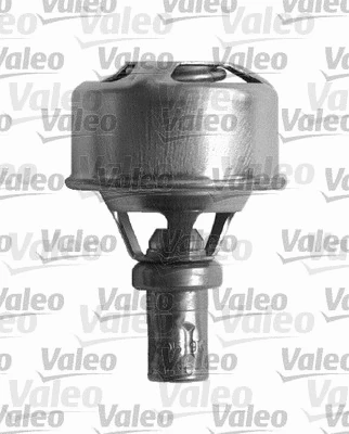 Thermostat, coolant (820920)