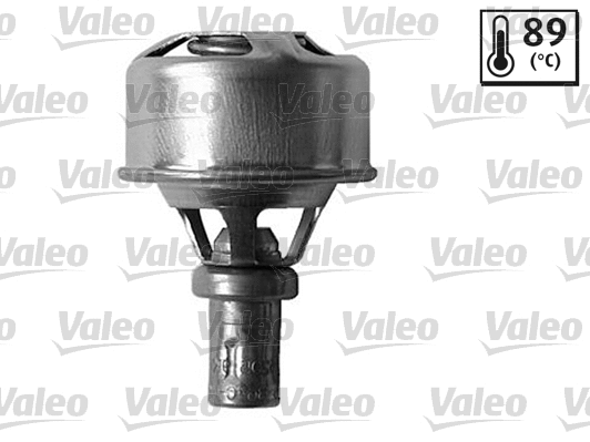 Thermostat, coolant (819924)