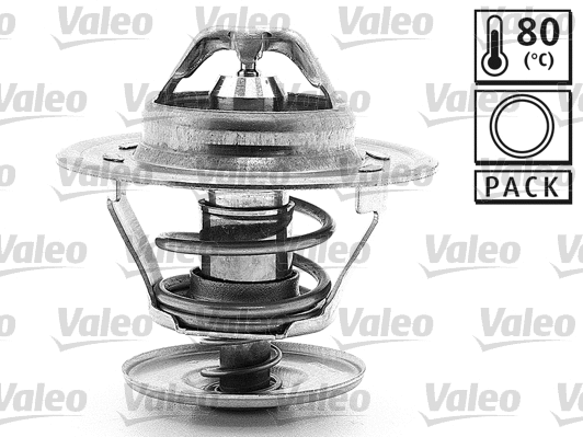 Thermostat, coolant (819867)