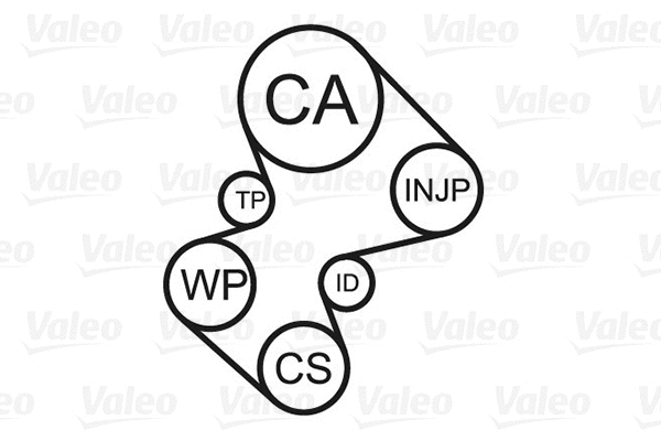 Water Pump & Timing Belt Kit