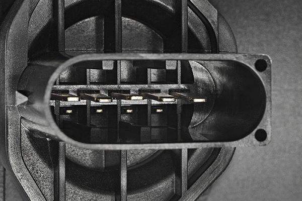 Mass Air Flow Sensor
