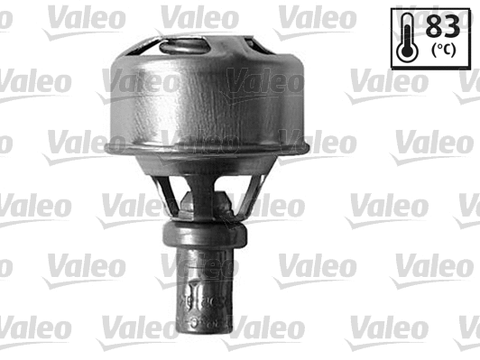 Thermostat, coolant (819922)